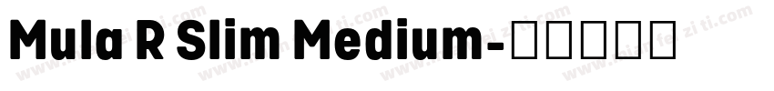 Mula R Slim Medium字体转换